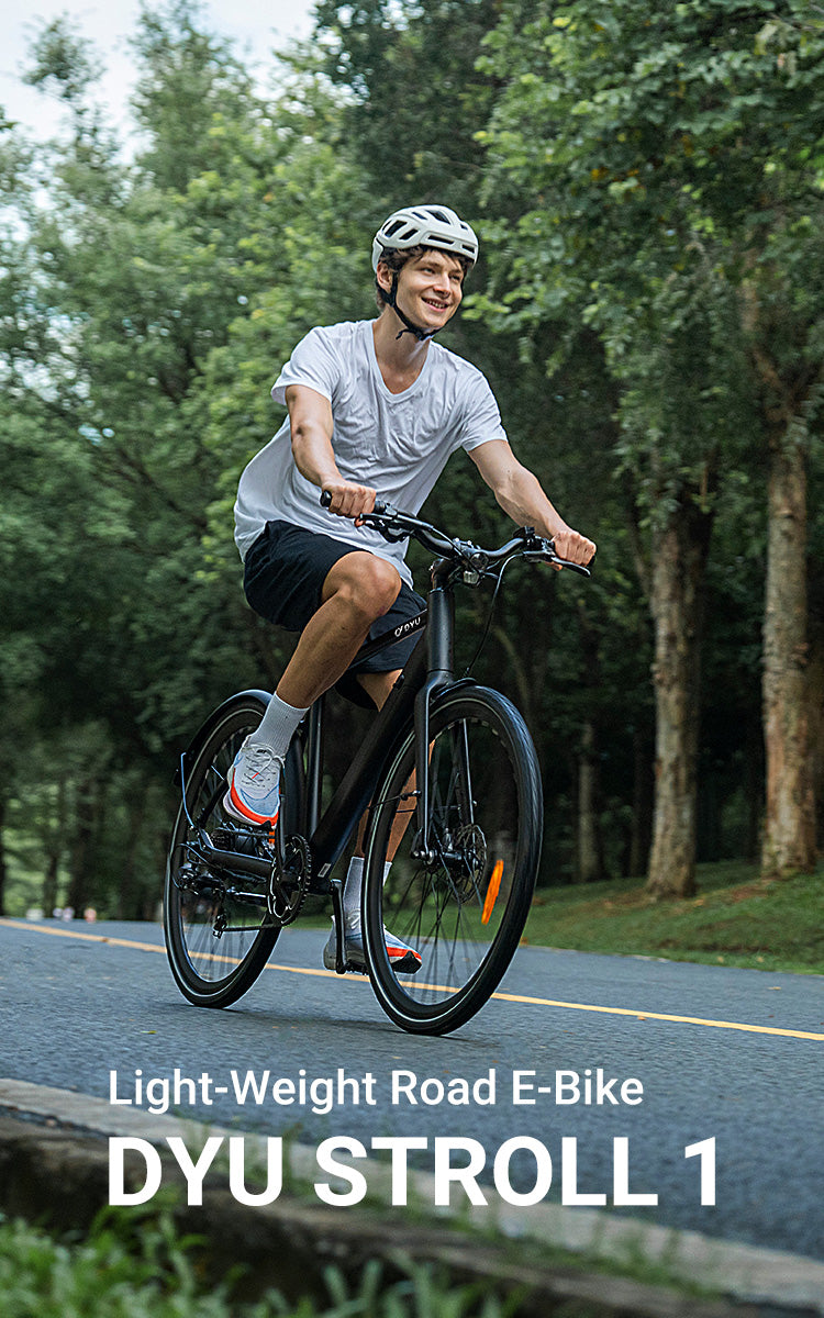 DYU T1 Hybrid E-Bike