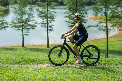 Cyclist enjoying a ride on the DYU Stroll 1 electric bike by a serene lake. Cyclist enjoying a ride on the DYU Stroll 1 electric bike by a serene lake.
