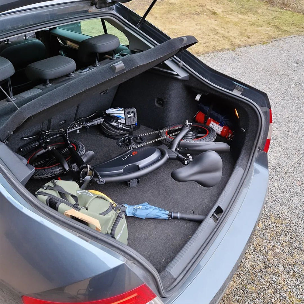 Dorota placed a folding electric bike into the trunk of his car.