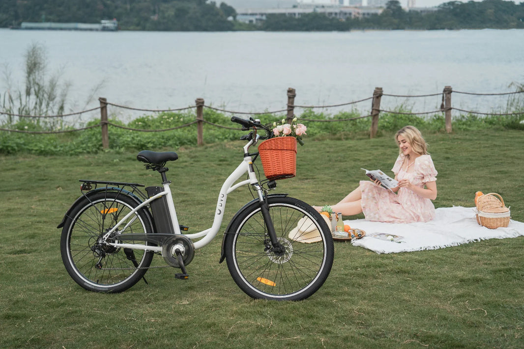 DYU C6 basket e-bike parked by water during a UK errand ride