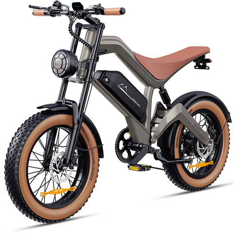 M20 All-Terrain Long-Range Electric Bike