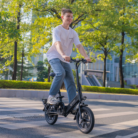 DYU C3 14 Inch Folding Ebike