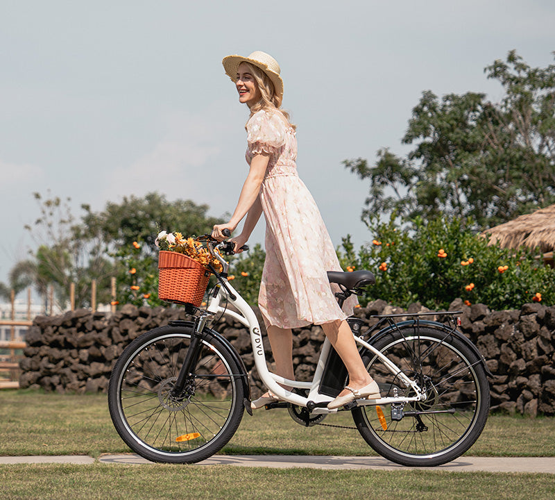 electric folding bike