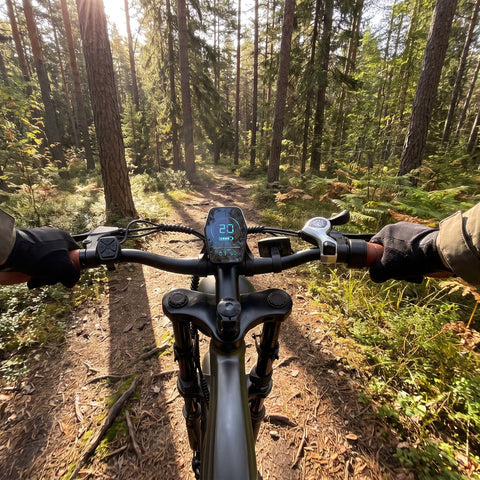 M20 All-Terrain Long-Range Electric Bike
