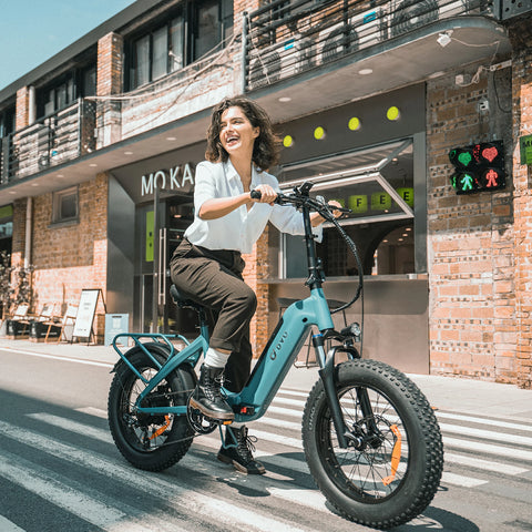 DYU FF500 Fat Tire Elektrofahrrad
