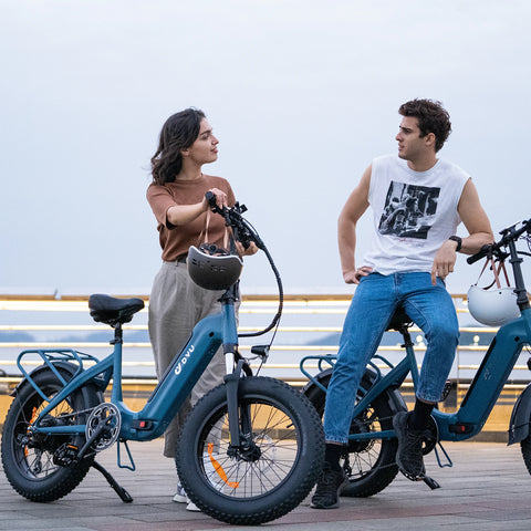 DYU FF500 Fat Tire Elektrofahrrad