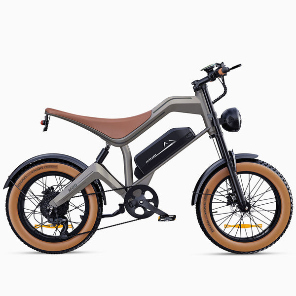 M20 All Terrain Long Range Electric Bike