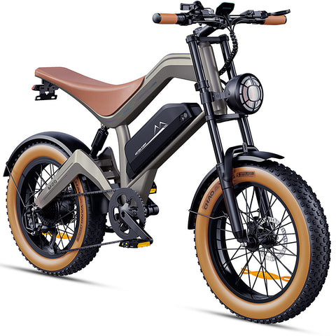 M20 All-Terrain Long-Range Electric Bike