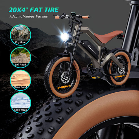 M20 All-Terrain Long-Range Electric Bike