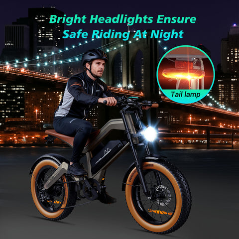 M20 All-Terrain Long-Range Electric Bike