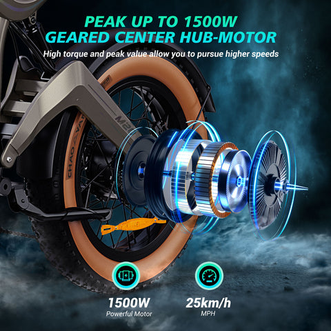 M20 All-Terrain Long-Range Electric Bike